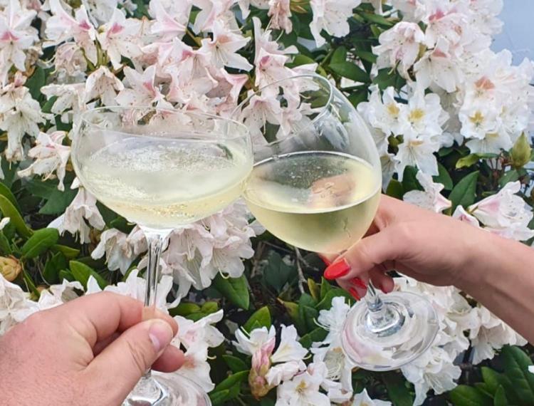 Ferienhaus Riesling Haßloch Esterno foto